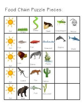 Food Chain Puzzle Online .